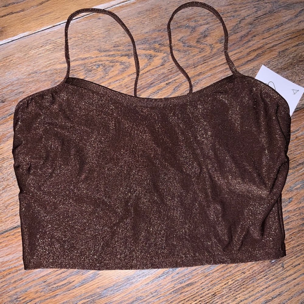 VICIOUS YOUNG BABES shimmer crop top/brown/S/NWT